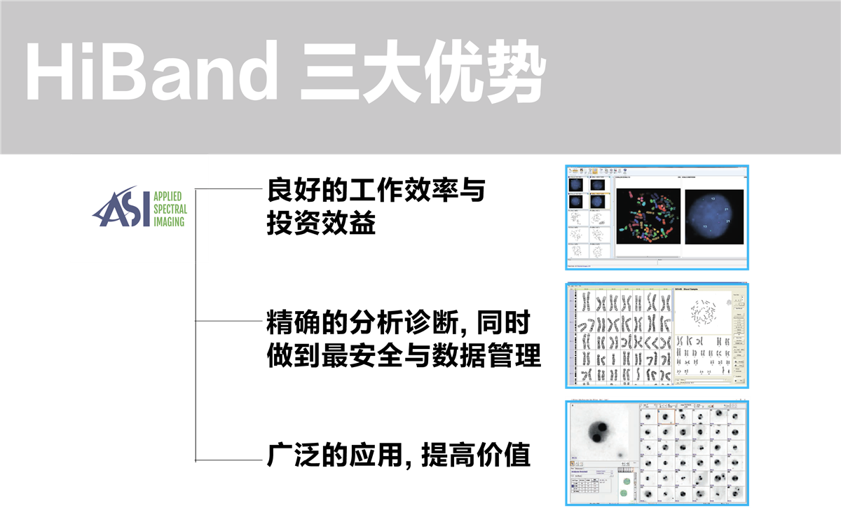 手动染色体分析系统