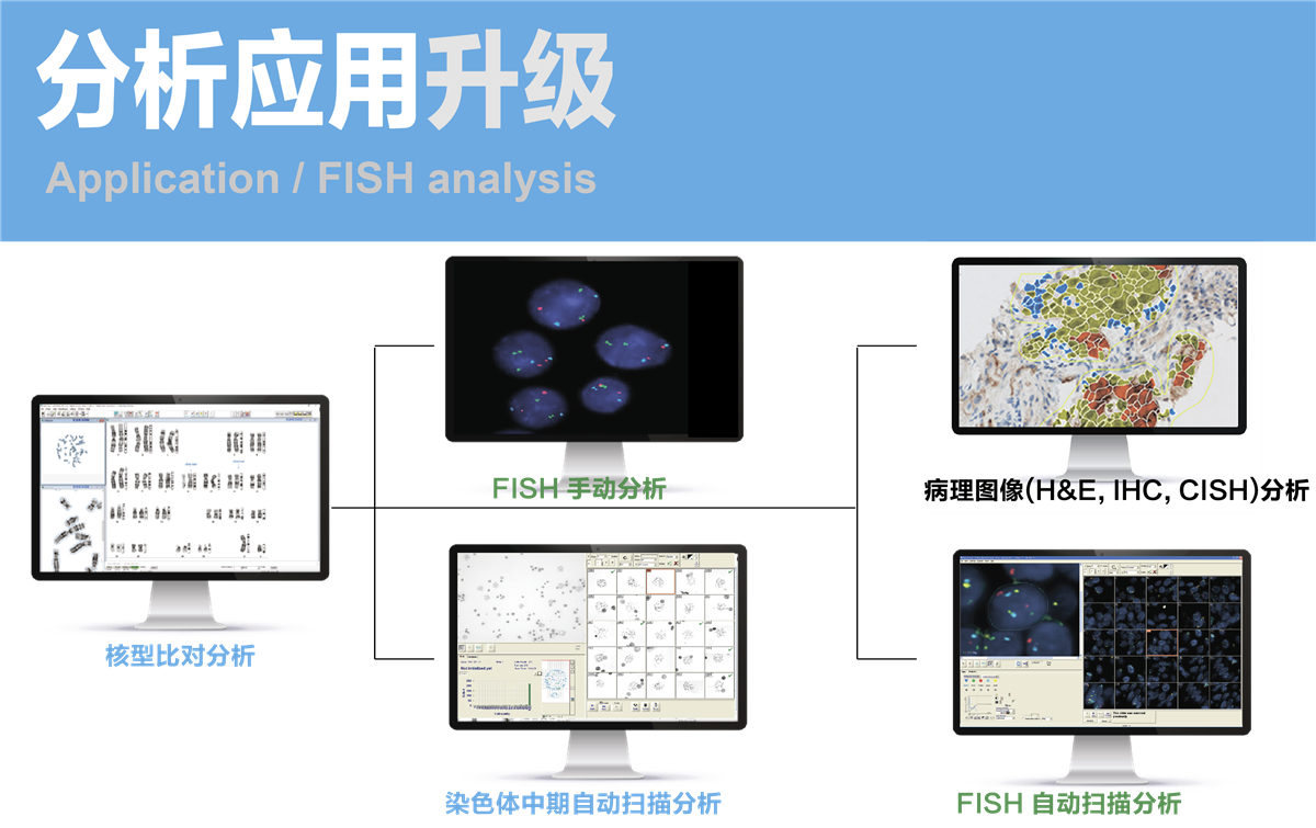 手动染色体分析系统