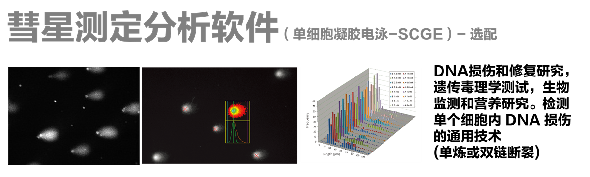 手动染色体分析系统