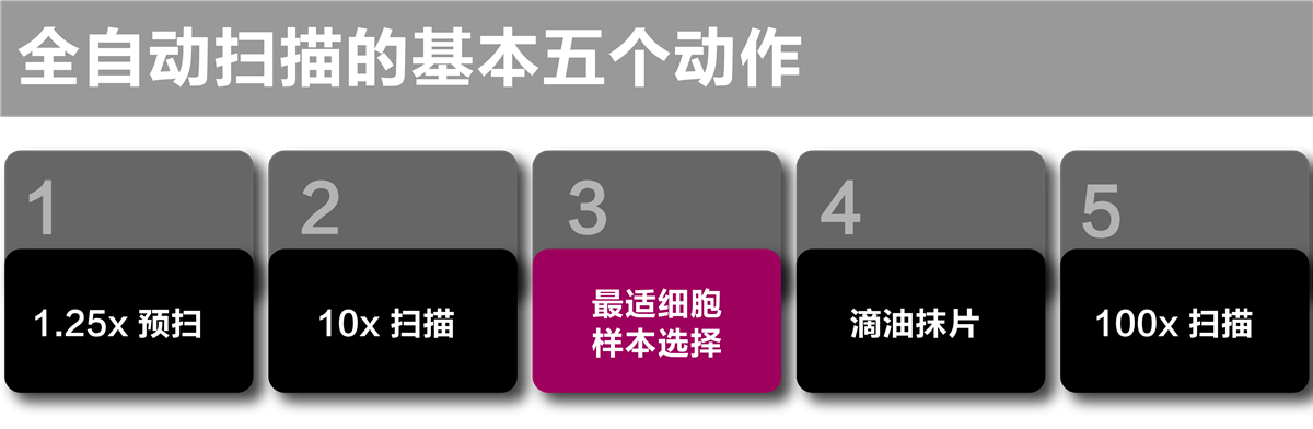 自动染色体扫描系统