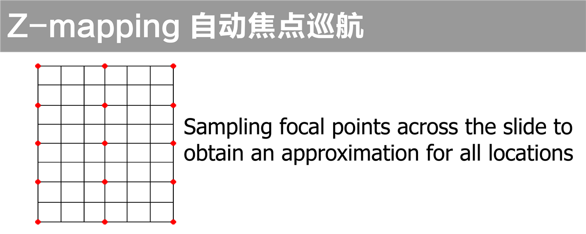 自动染色体扫描系统