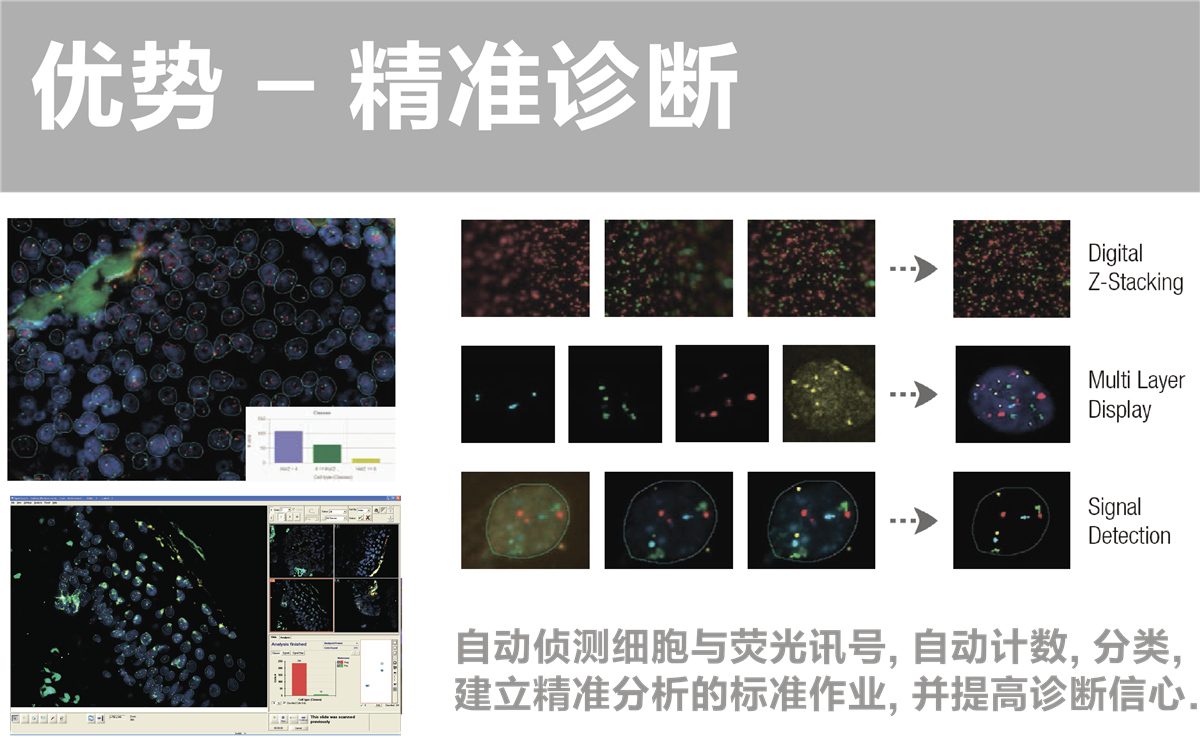 FISH图文报告系统