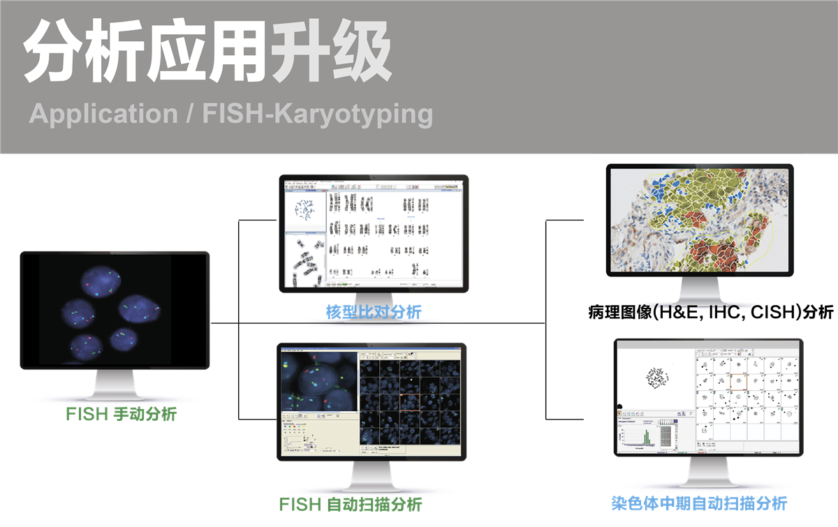 FISH图文报告系统