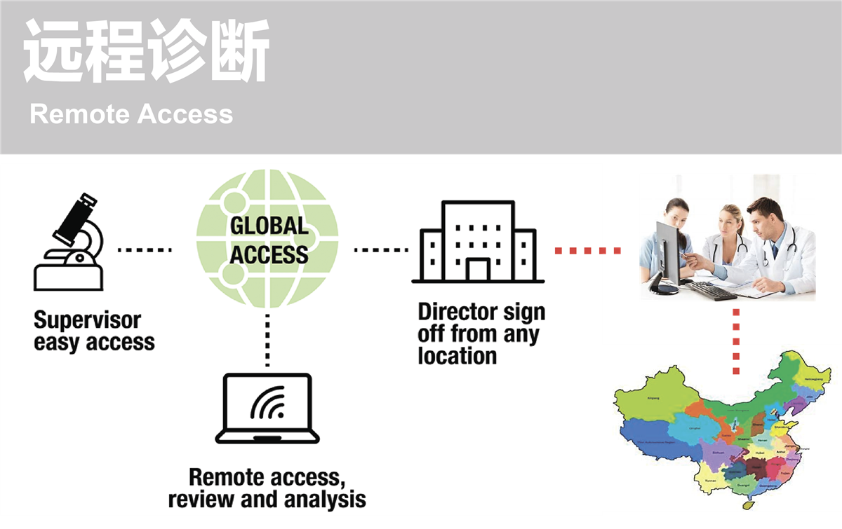 FISH图文报告系统