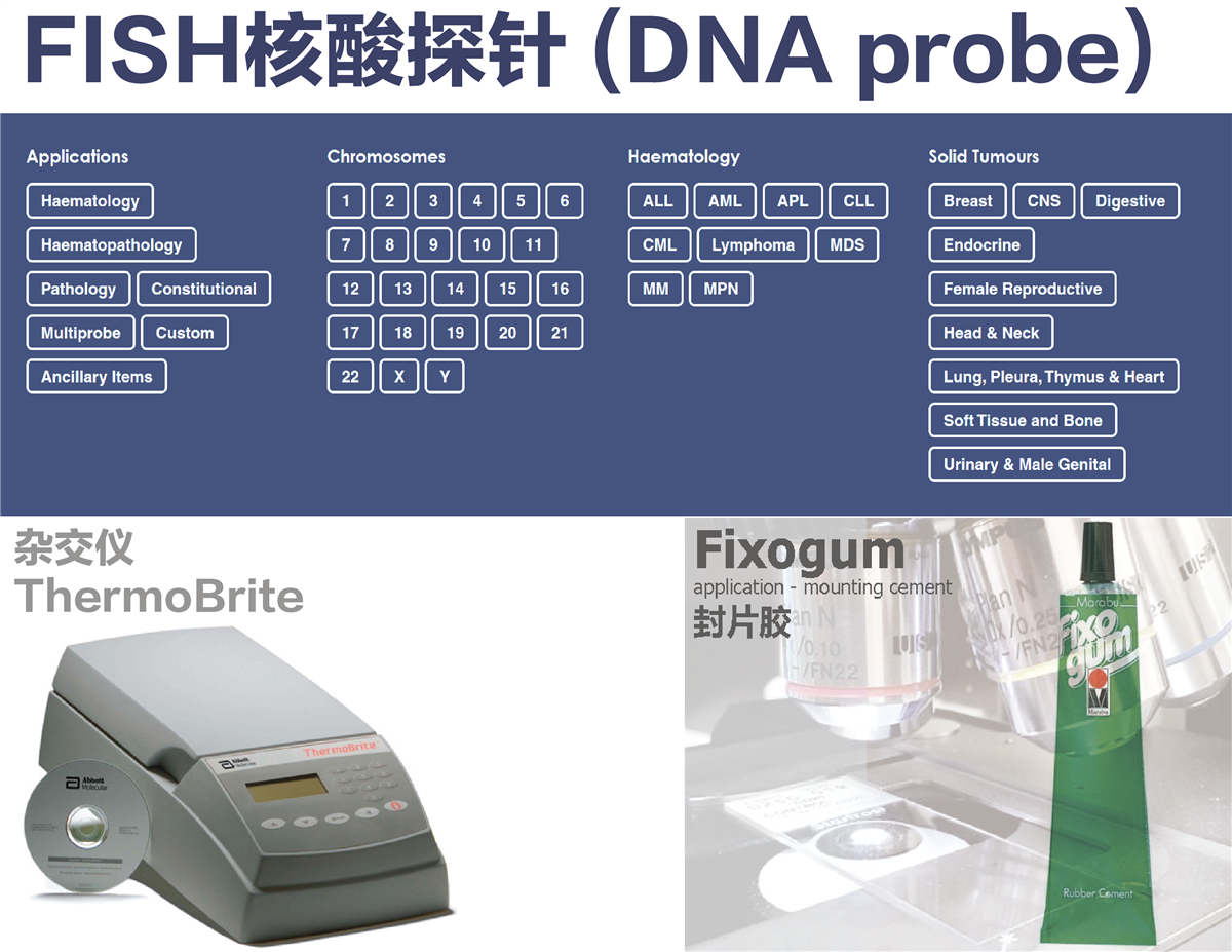FISH图文报告系统
