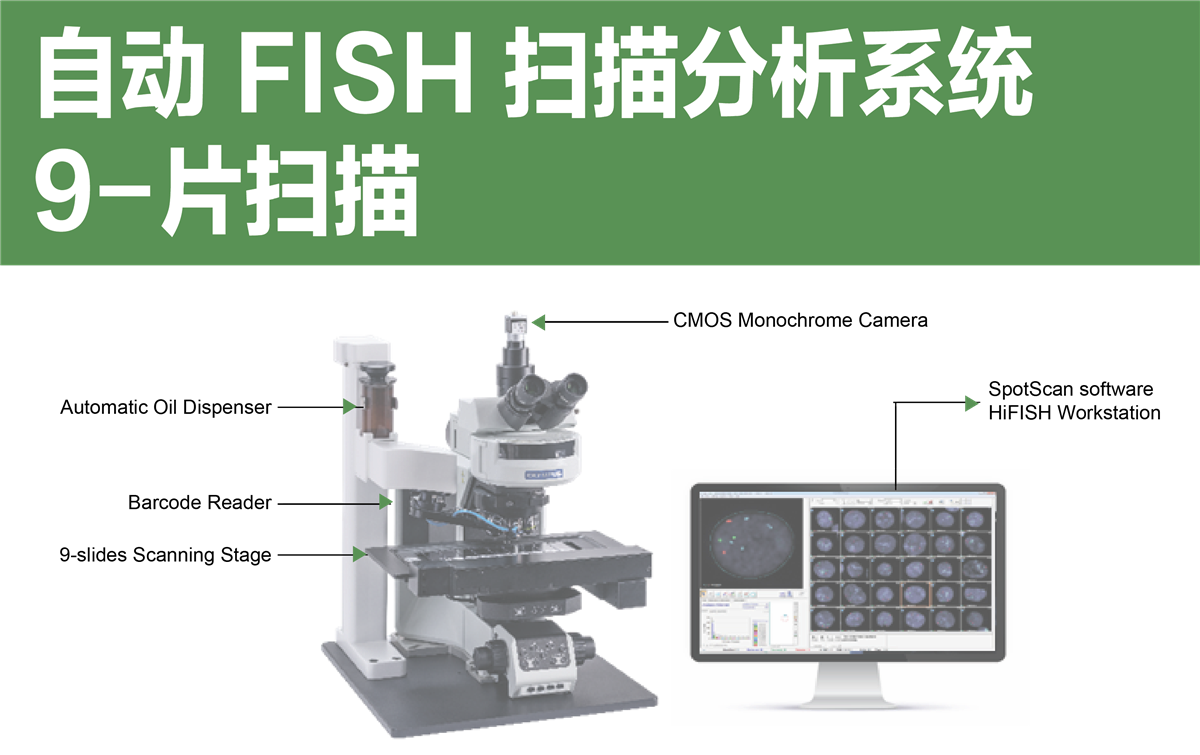 FISH扫描分析系统