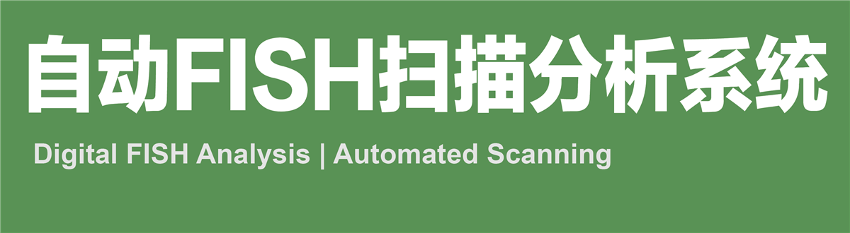 FISH扫描分析系统