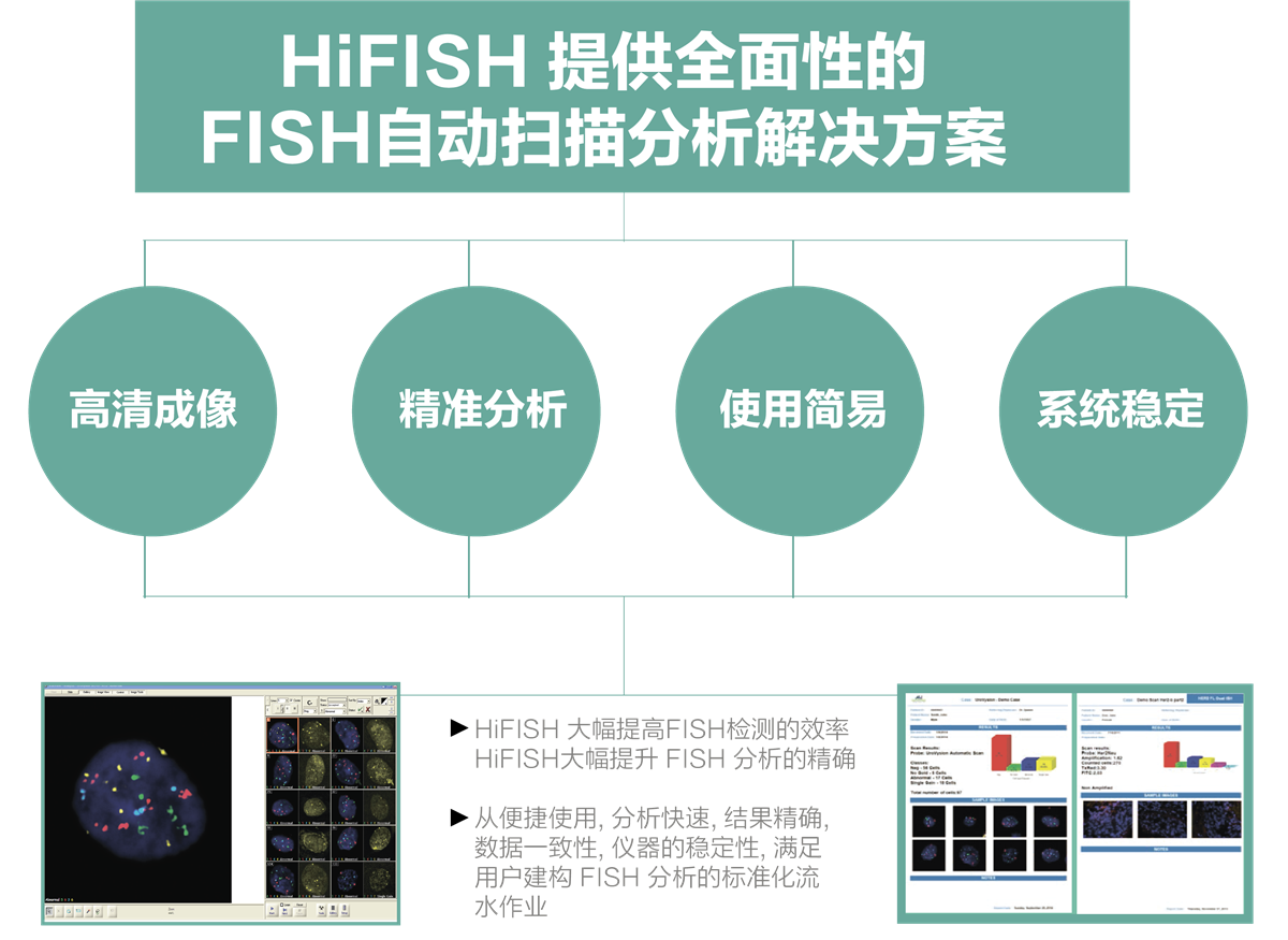 FISH扫描分析系统