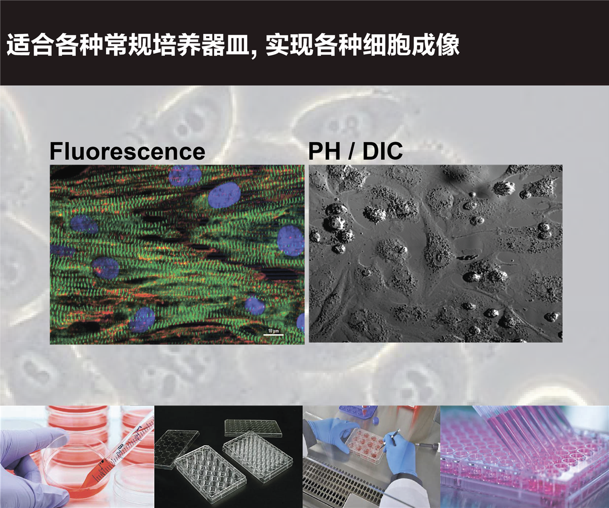 LCI 显微镜载物台活细胞培养系统