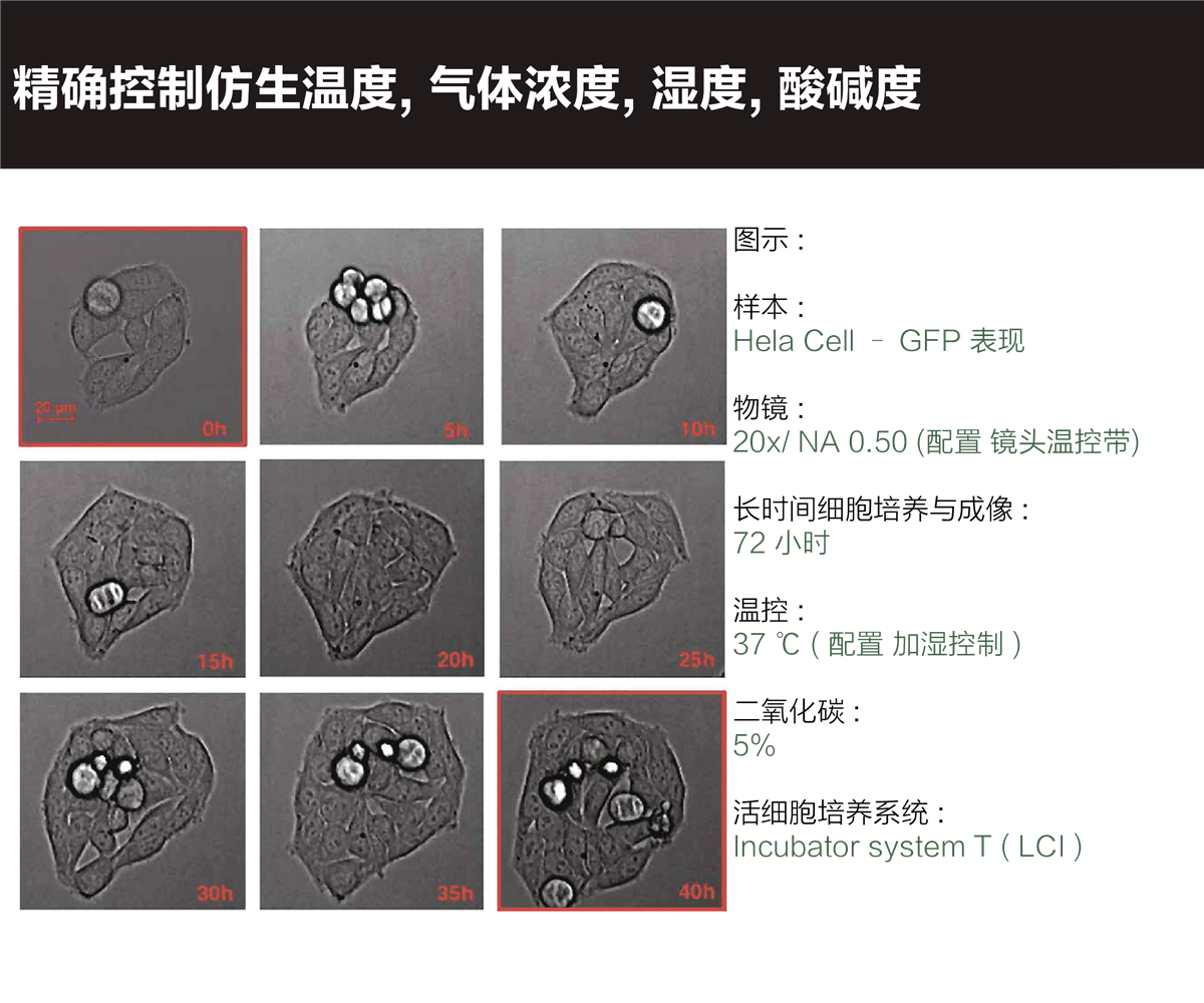 LCI 显微镜载物台活细胞培养系统