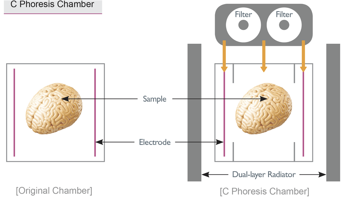 C Phoresis 全自动组织澄清透明设备