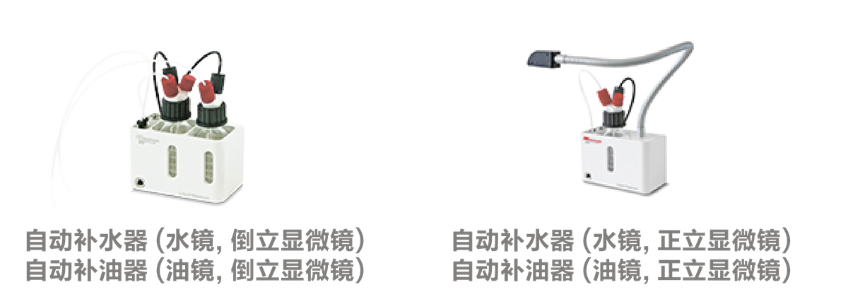 正立显微镜-电控载物台