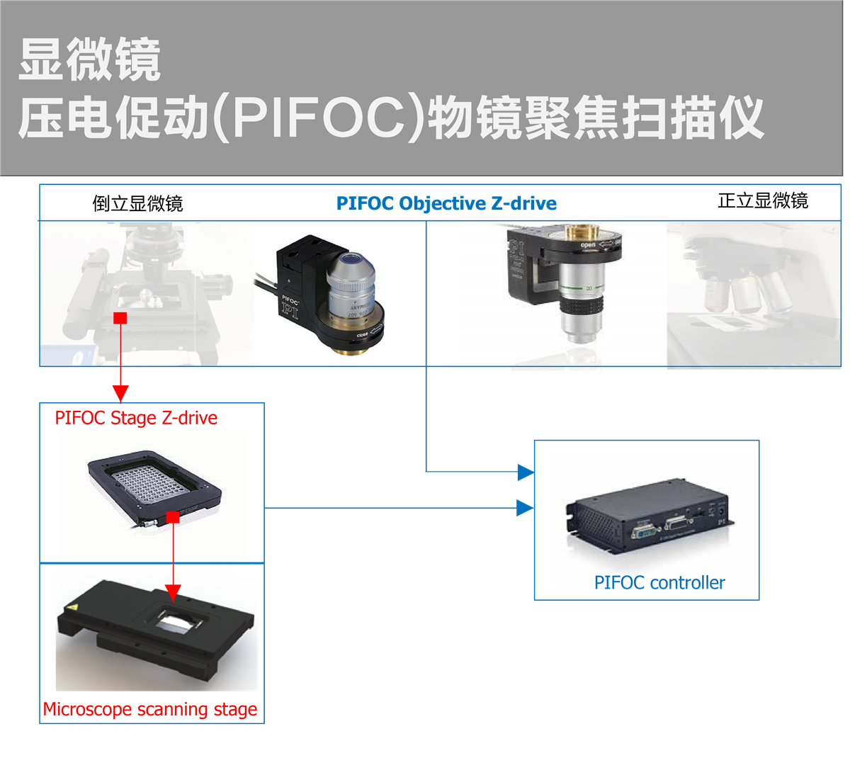 倒立显微镜-电控载物台